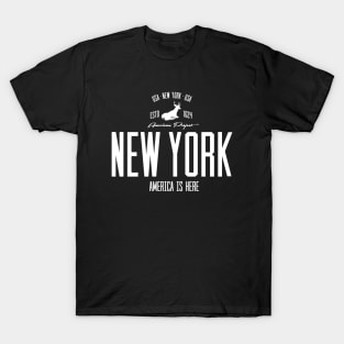 USA, America, New York T-Shirt